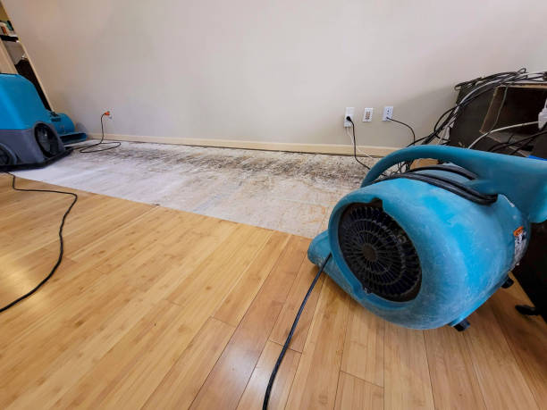Professional Structural Drying technician working in Brookfield, IL